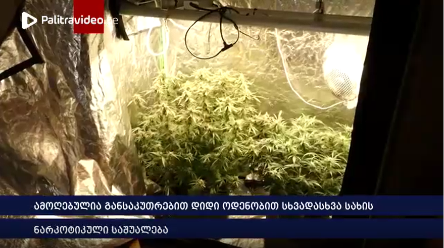 ,,კოკაინი“, „მდმა“, „ლიზერგიდი“, ფსიქოტროპული ნივთიერებები და "მარიხუანა" ამოიღეს" - პოლიციამ ნარკოდ...