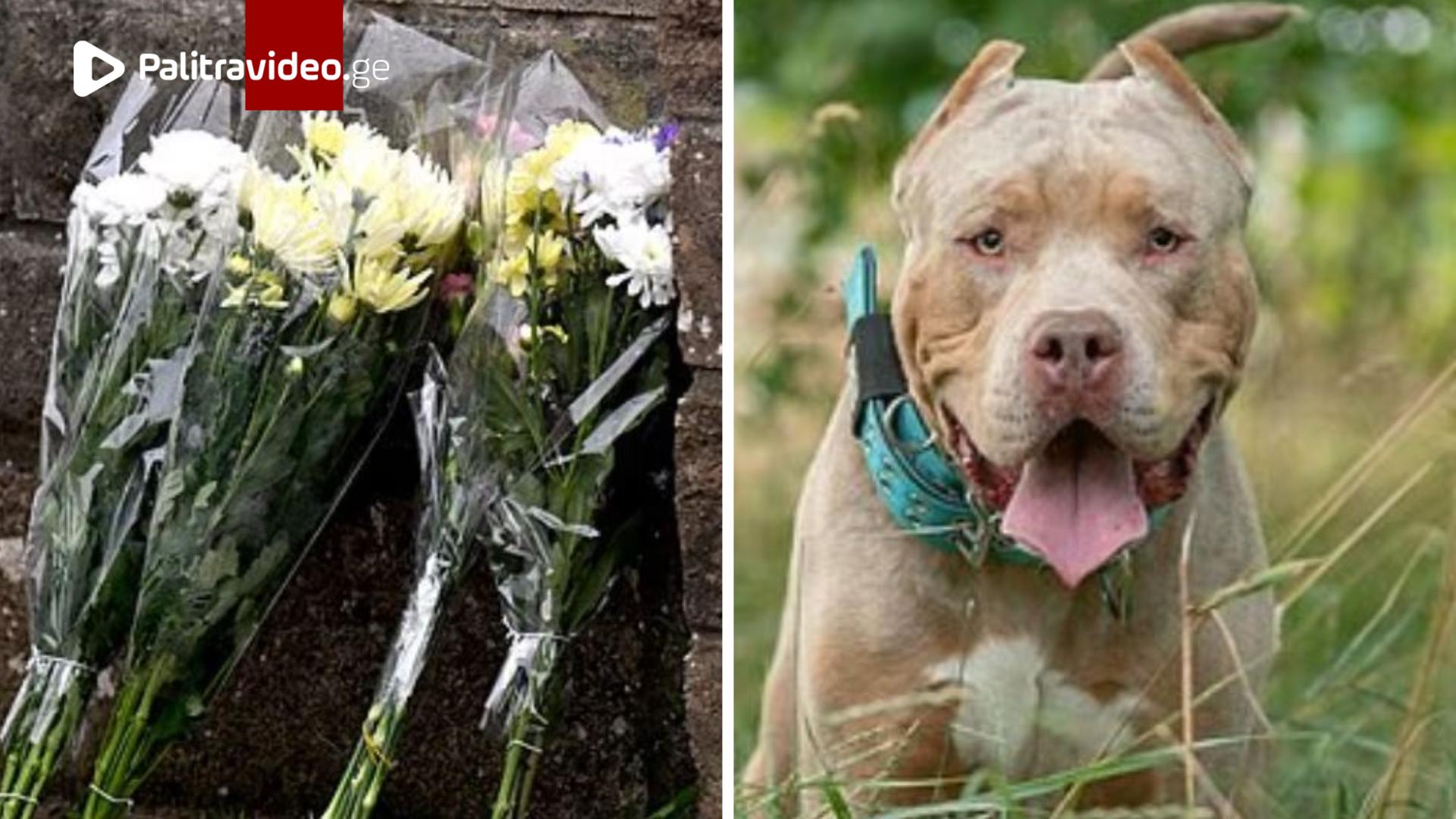 ძაღლმა 9 თვის ჩვილი მოკლა - ბავშვი მამასთან ერთად  სტუმრად იმყოფებოდა - შემზარავი ტრაგედიის დეტალები...